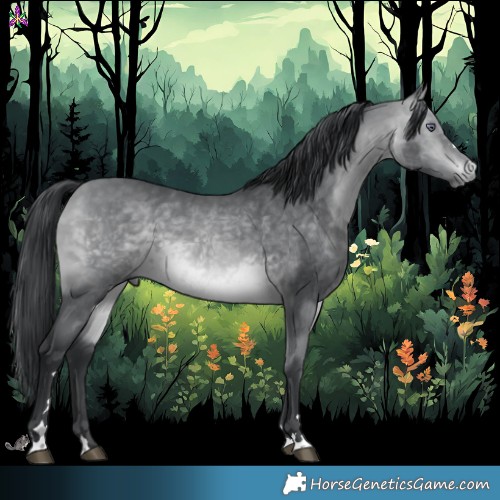 Horse Color:Bay Chinchilla 