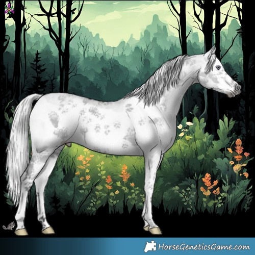 Horse Color:White Spotted Silver Grullo Chinchilla Splash Frame 