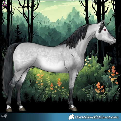 Horse Color:Brown Chinchilla Dun 