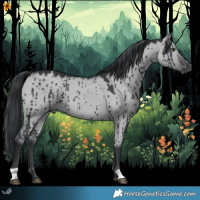 Horse Color:Grullo Chinchilla Brindle 