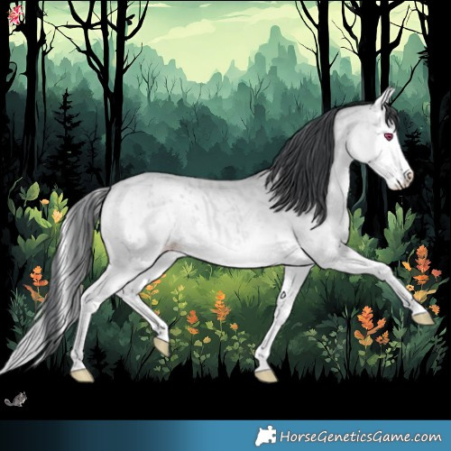 Horse Color:Amber Champagne Chinchilla Onyx Splash