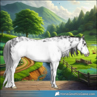 Horse Color:Black Ice Sabino Frame 