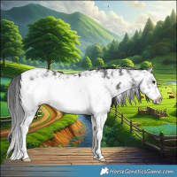 Horse Color:Black Ice Sabino Frame