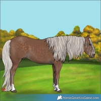 Horse Color:Silver Black 