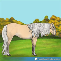 Horse Color:Silver Buckskin 