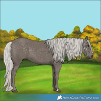 Horse Color:Silver Smoky Black