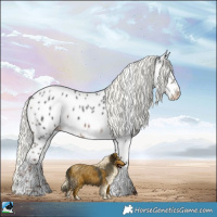 Horse Color:Liver Chestnut Mushroom Near Leopard 