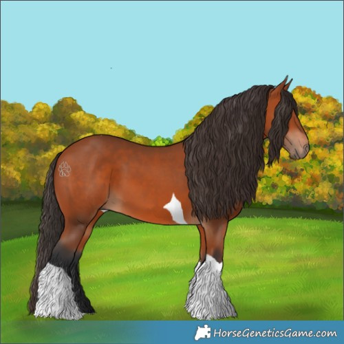 Horse Color:Bay Tobiano 