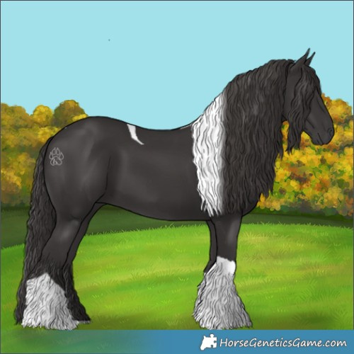 Horse Color:Smoky Black Tobiano Rabicano 
