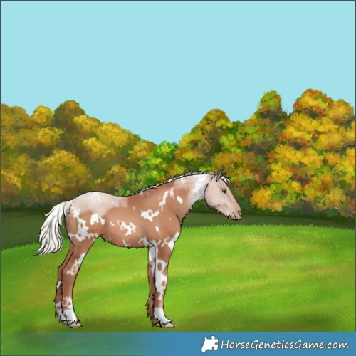 Horse Color:White Spotted Silver Black Pearl 