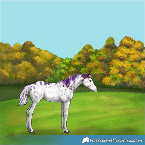 Horse Color:Watercolor White Spotted Silver Brown Ice Sabino 