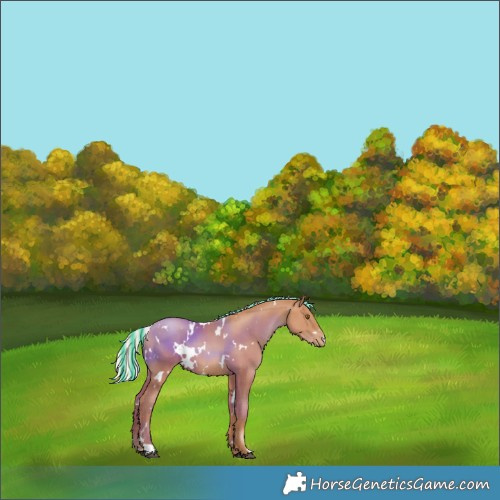 Horse Color:Painted White Spotted Silver Black Pearl 