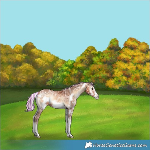 Horse Color:Painted White Spotted Silver Bay Ice Onyx Frame Rabicano 