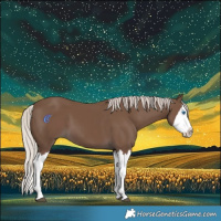Horse Color:Silver Black Splash 
