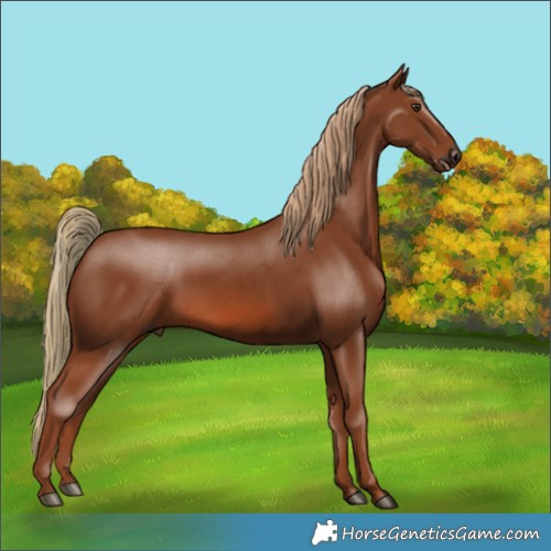 Horse Color:Chestnut 