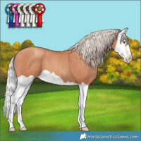 Horse Color:Silver Classic Champagne Splash 