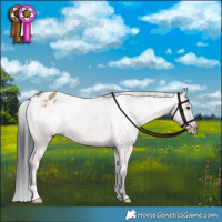 Horse Color:Liver Red Dun Varnish Brindle 
