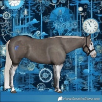 Horse Color:Silver Black Splash