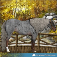 Horse Color:Liver Red Roan Mushroom 