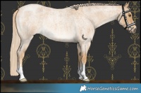 Horse Color:Palomino Roan Mushroom 