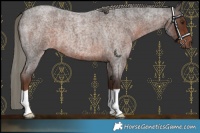 Horse Color:Liver Red Roan Mushroom