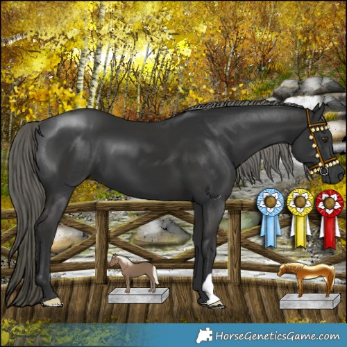 Horse Color:Liver Chestnut Mushroom 