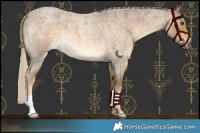 Horse Color:Chocolate Palomino Roan Mushroom 