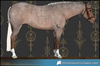 Horse Color:Liver Red Roan Mushroom 