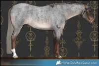 Horse Color:Liver Red Roan Mushroom