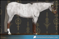 Horse Color:Liver Red Roan Mushroom