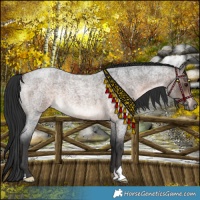 Horse Color:Brown Roan Mushroom 