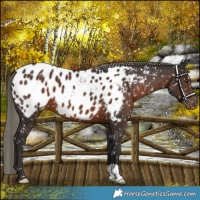 Horse Color:Liver Chestnut Mushroom Blanket 
