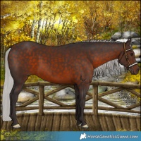 Horse Color:Silver Brown Mushroom