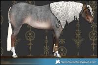 Horse Color:Liver Red Roan Mushroom 