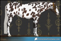 Horse Color:Silver Brown Mushroom Near Leopard 