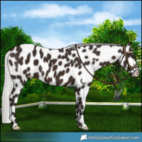Horse Color:Silver Brown Mushroom Leopard