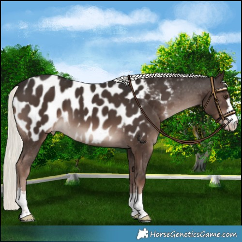 Horse Color:Liver Chestnut Mushroom Blanket 