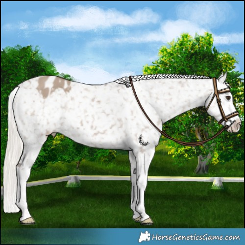 Horse Color:Liver Red Dun Mushroom Splash Snowflake Varnish 