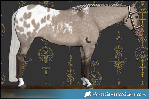 Horse Color:Silver Brown Dun Mushroom Blanket 