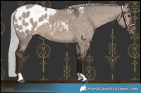Horse Color:Silver Brown Dun Mushroom Blanket 