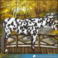 Horse Color:Liver Chestnut Mushroom Near Leopard 