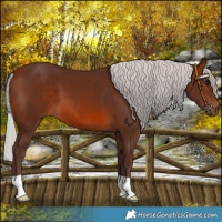 Horse Color:Silver Bay Mushroom 