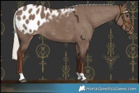 Horse Color:Liver Red Dun Mushroom Blanket