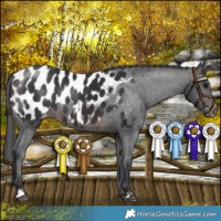 Horse Color:Brown Mushroom Near Leopard
