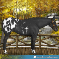 Horse Color:Liver Chestnut Mushroom Blanket