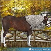 Horse Color:White Spotted Silver Brown Mushroom