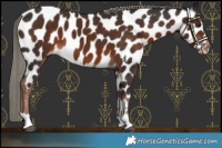 Horse Color:Liver Chestnut Mushroom Near Leopard 