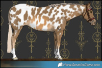 Horse Color:Chocolate Palomino Mushroom Near Leopard