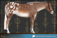 Horse Color:Chestnut Mushroom Blanket 