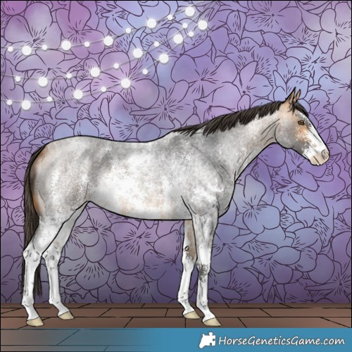 Horse Color:Buckskin Roan Sabino